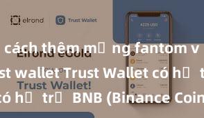 cách thêm mạng fantom vào ví trust wallet Trust Wallet có hỗ trợ BNB (Binance Coin) không?